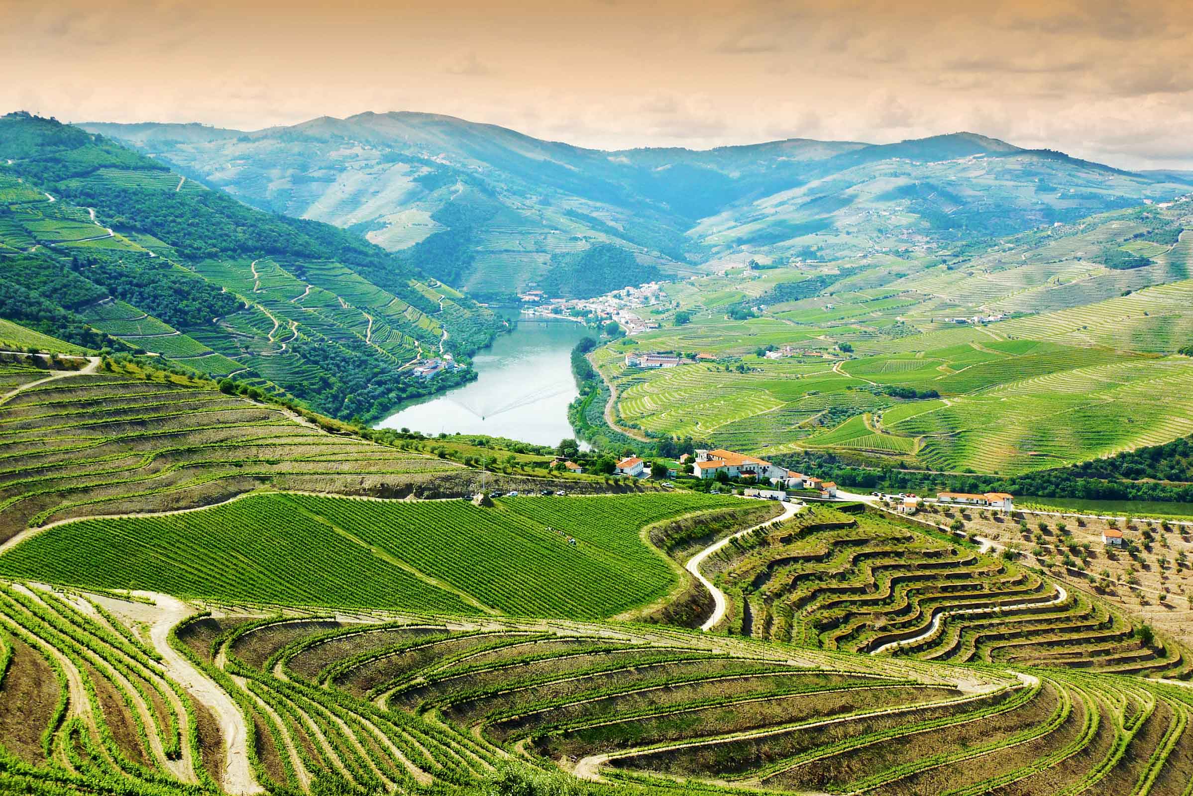 Portuguese Wine region