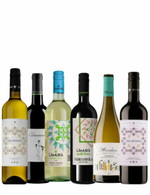 Organic Wine 6 Bottle Selection